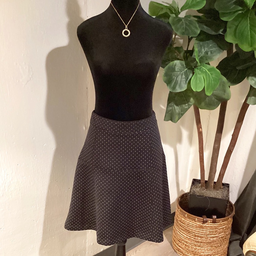 Ann Taylor skirt